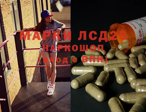 стафф Михайловск