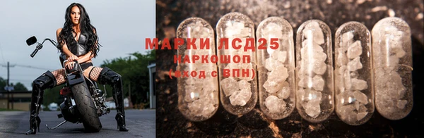 стафф Михайловск