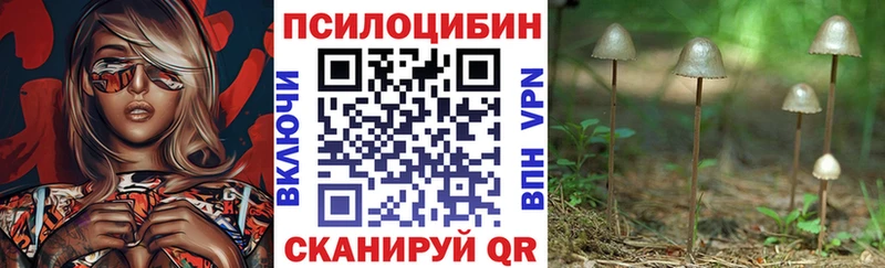 Псилоцибиновые грибы мицелий  купить наркоту  гидра ссылки  Златоуст 